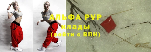 ПСИЛОЦИБИНОВЫЕ ГРИБЫ Абаза