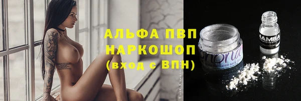 ПСИЛОЦИБИНОВЫЕ ГРИБЫ Абаза