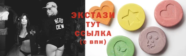 стаф Медногорск