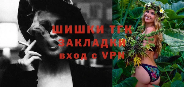 ПСИЛОЦИБИНОВЫЕ ГРИБЫ Абаза