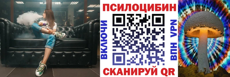 Псилоцибиновые грибы Psilocybine cubensis  блэк спрут ссылка  Иваново  наркота 