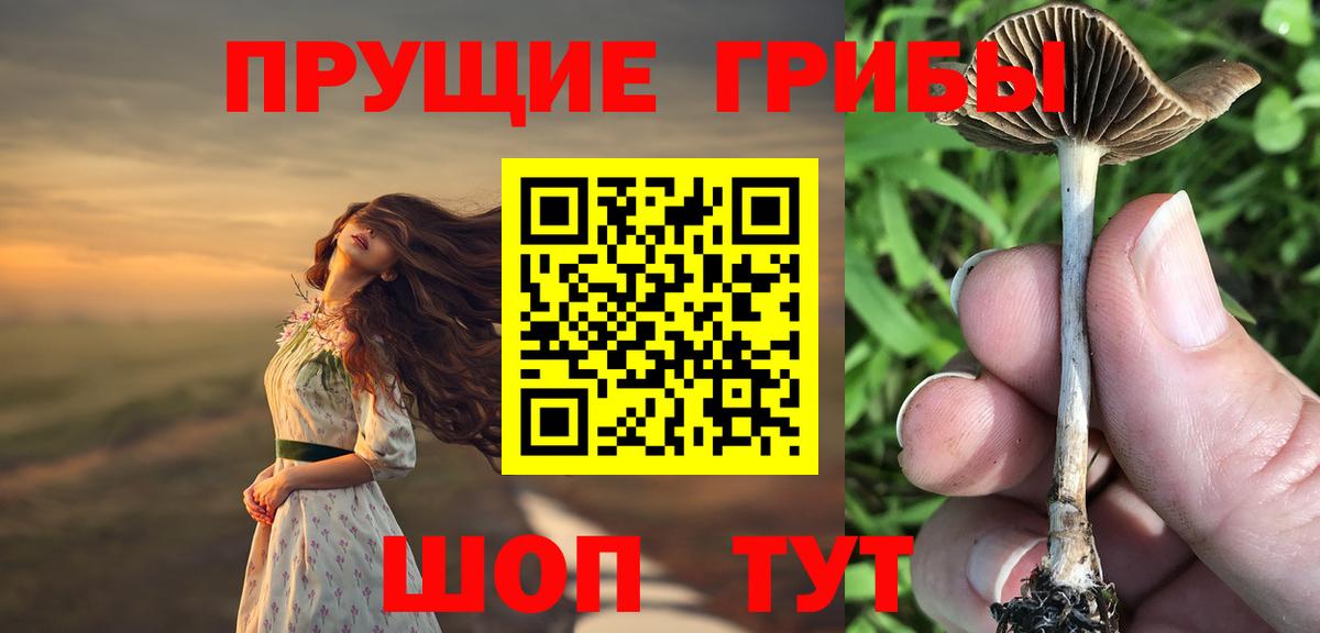 Псилоцибиновые грибы GOLDEN TEACHER  Галлюциногенные грибы Magic Shrooms  Вход с VPN  где купить   Иваново 
