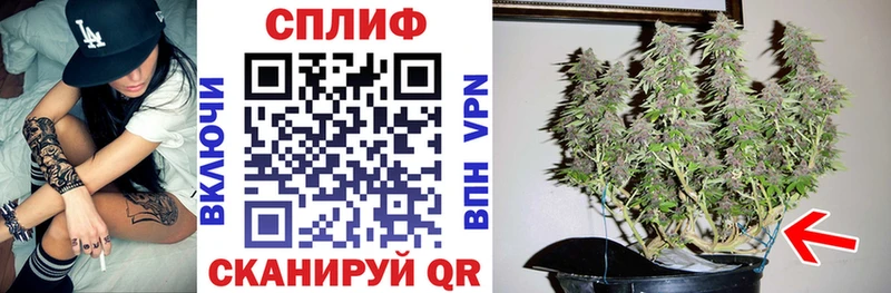 mega   Иваново  Шишки марихуана White Widow 